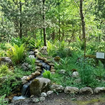 Rifugio Montano לינה וארוחת בוקר 3*